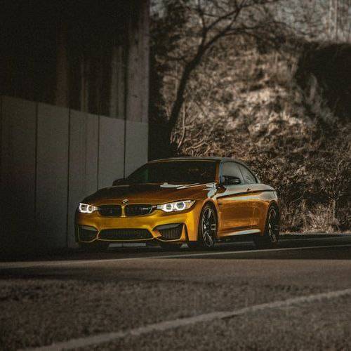 رائوف فایک Lonely